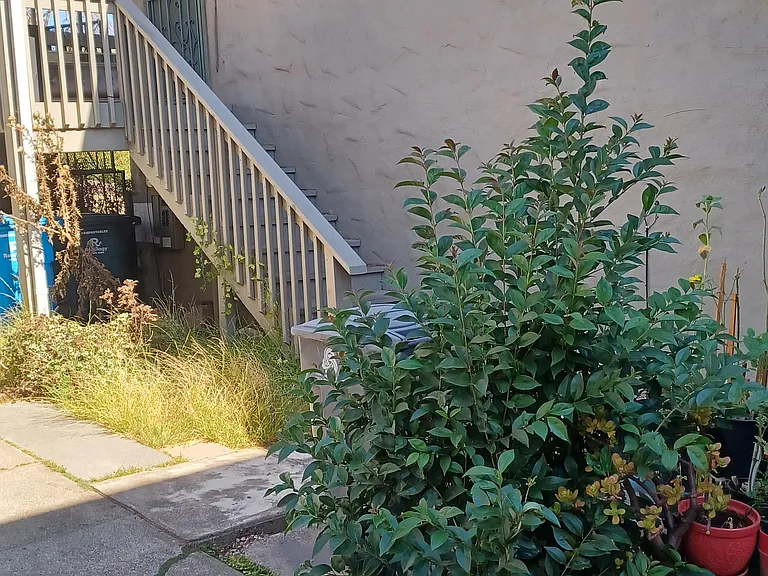 914 Sacramento St #C — Photo 19