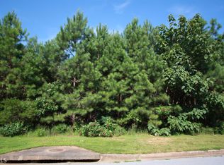 58 Cannon Ridge Vw #39, Dallas, GA 30132