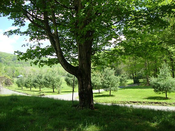 View from front porch
