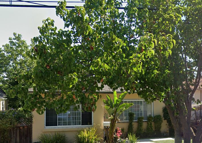 1st image of 924 Chula Vista Ave