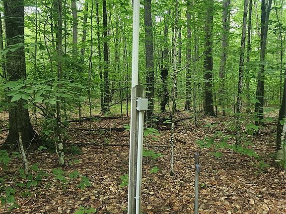 4th image of Soft Maple Rd Lot 8