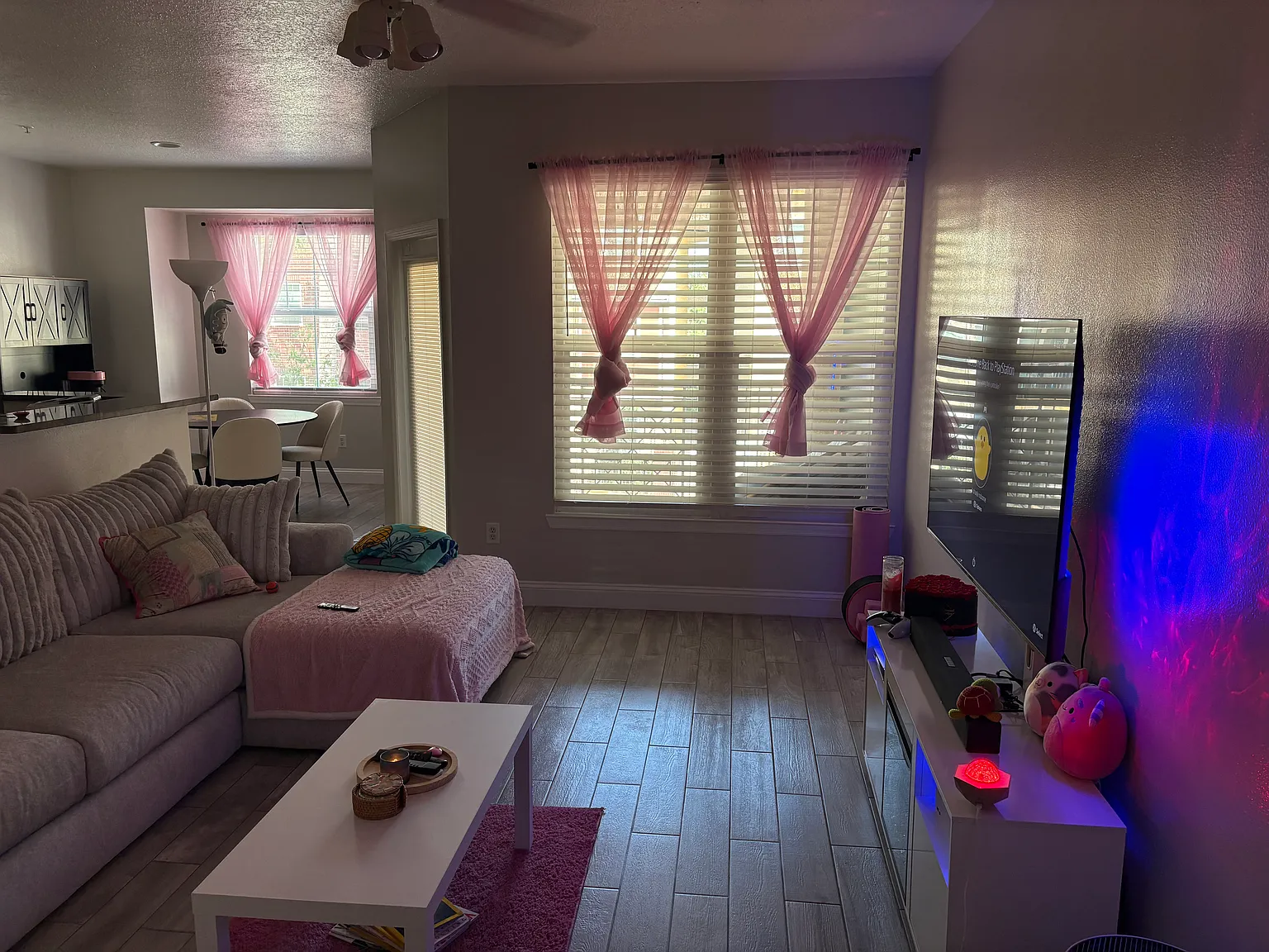 2 bed, 1170 sqft, $2,250 — Photo 3