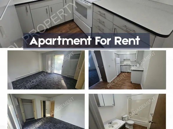 Andre Arms-814, 814 S Andre St APT 11, Saginaw, MI 48602