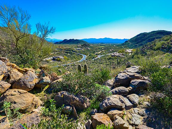 2nd image of 14739 N Soaring Dove Pl Lot 65