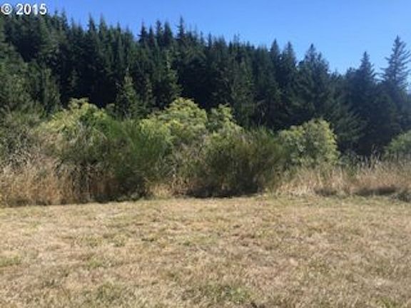 Lot 3- Recent Clearing
