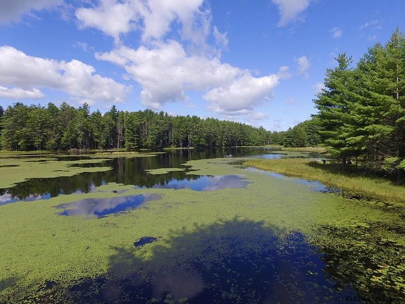 5th image of 0 ANTLER LAKE Road