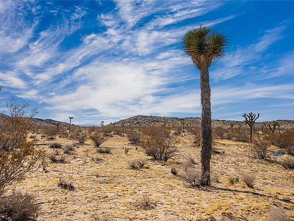 3rd image of 4 Burke Rd