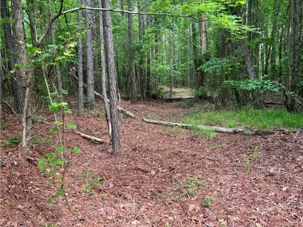 0 Piddlers Rd, Berry, AL 35546