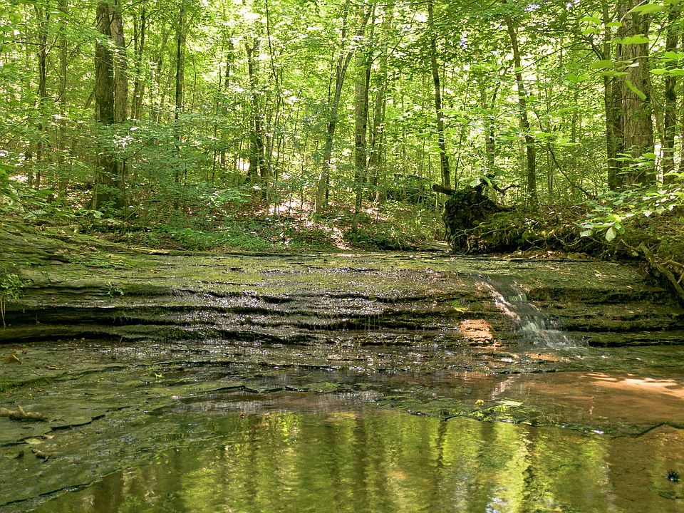 1st image of 8218 Old Pond Creek Rd