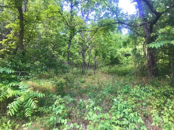 1717 Swecker Town Rd, Barren Springs, VA 24313