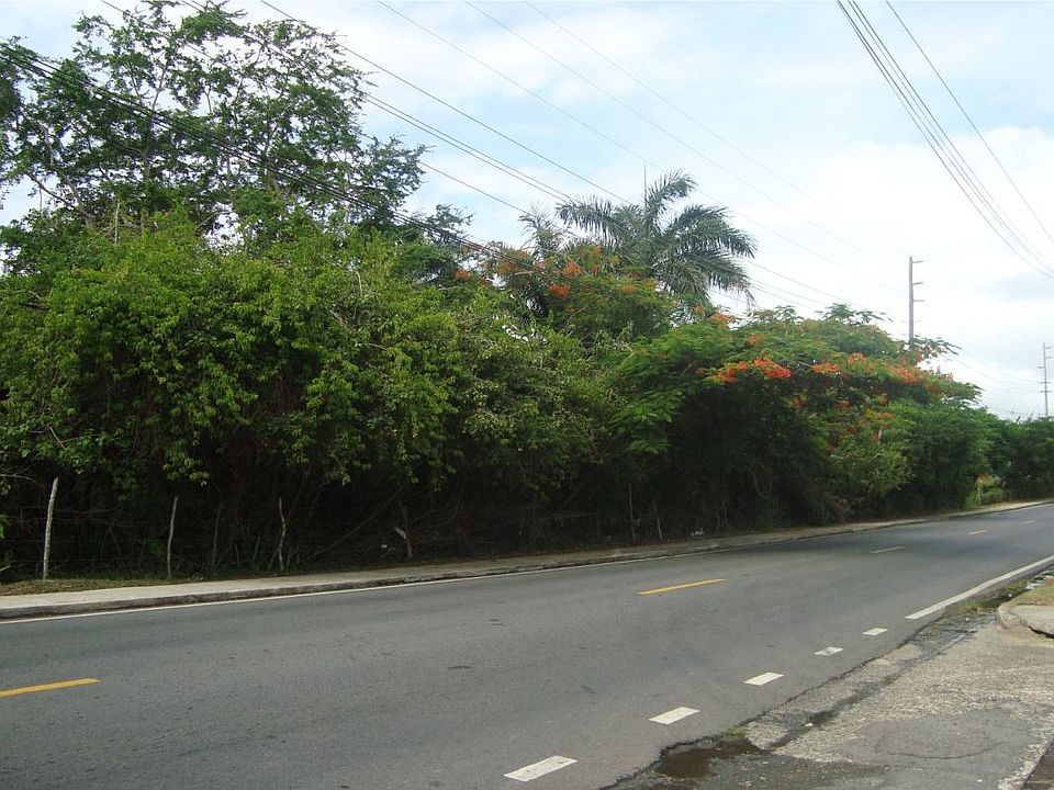 2nd image of SR 195 Puerto Real Ward