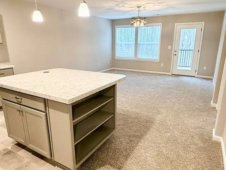 4238 Apple Branch Dr — Photo 2