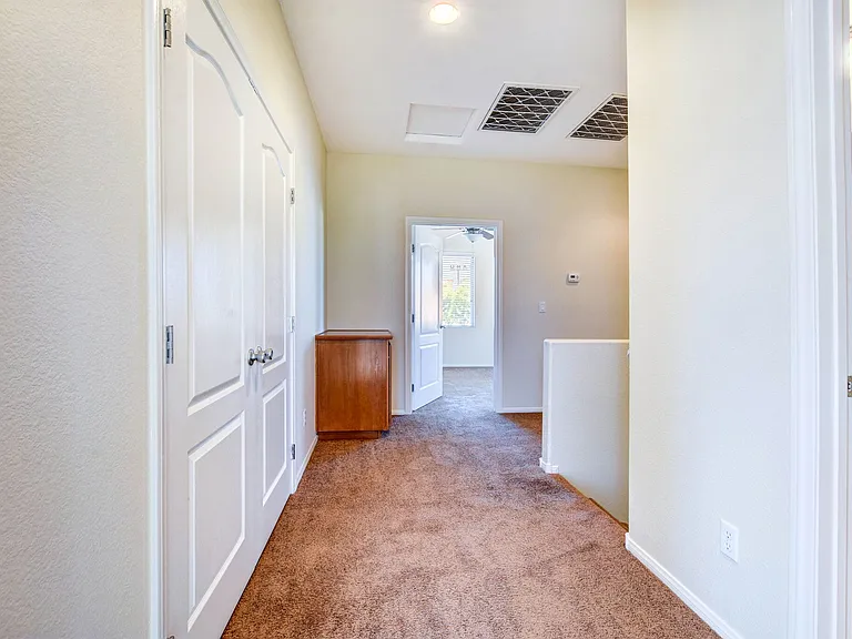 8285 Begonia Blush Dr — Photo 19