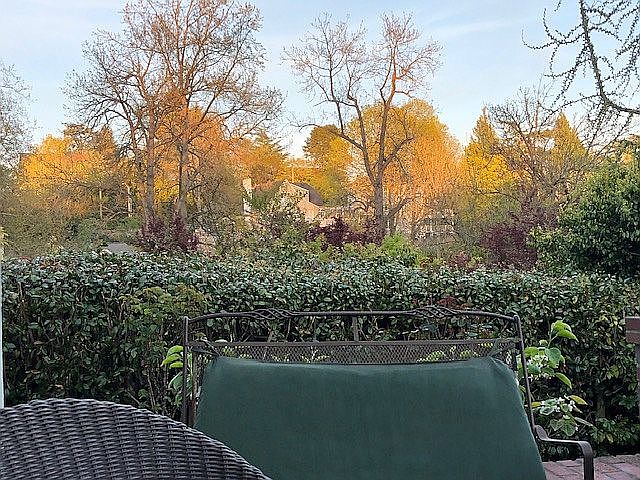 Porch View