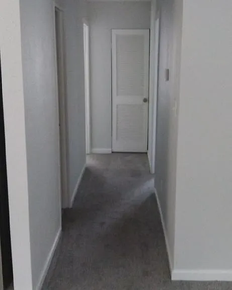 412 Euclid Ave #A — Photo 6