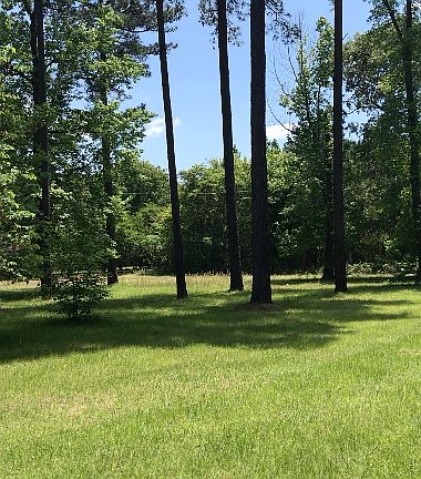 Side yard