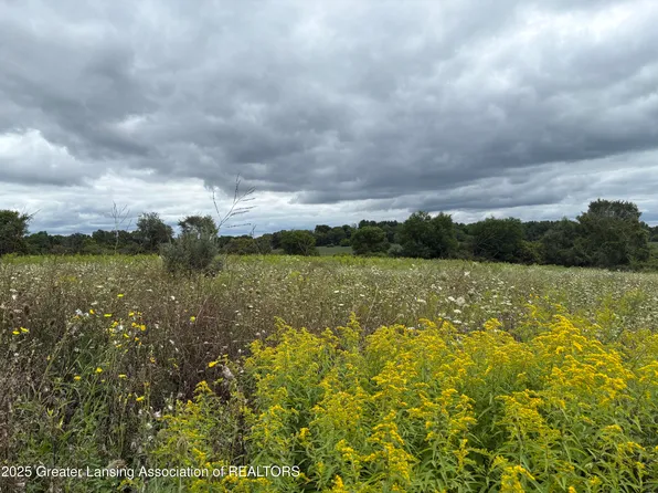 Montels Way Parcel D, Charlotte, MI 48813