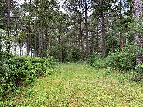2nd image of LOT 1 Highway 51 N