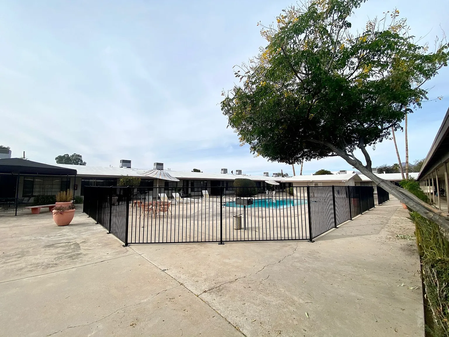 Swan Court Apartments - 1 and 2 Bedroom Homes! — Photo 3