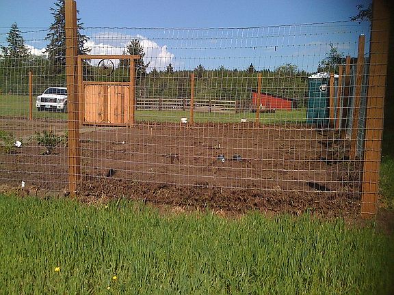 40/60 garden-covered shed

