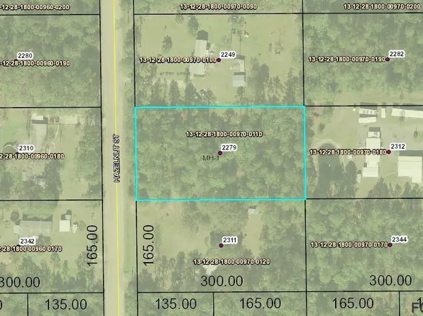 2279 Hazelnut St, Bunnell, FL 32110