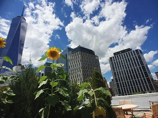 Rented by Anchor Associates | media 10