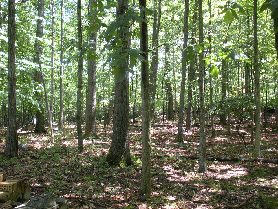 2nd image of Dale Rd