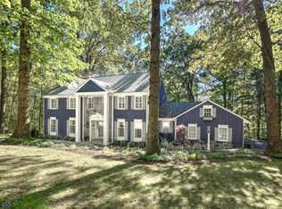 16 Horizon Dr, Mendham, NJ 07945