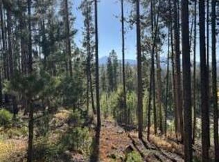 3302 Gcr #8, Fraser, CO 80442