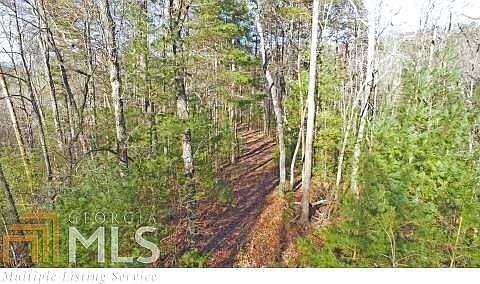 3rd image of 0 Black Bear Dr #12