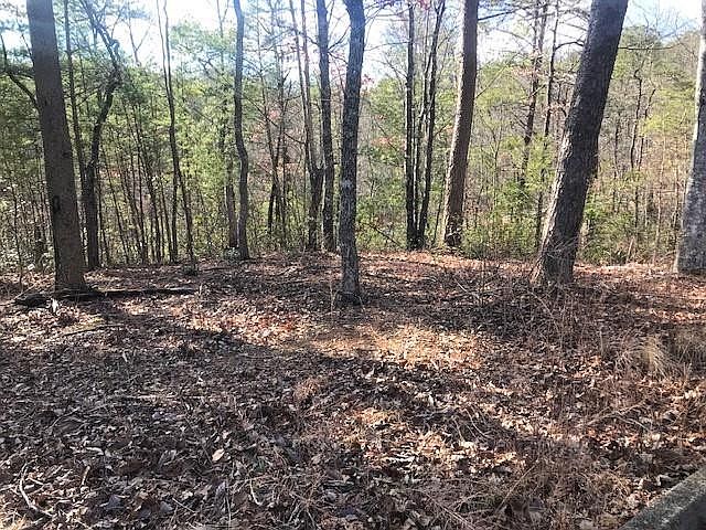 1st image of 43 Storm Bringer Dr Lot 43