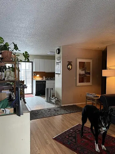 2990 Eagle Way Photo 1