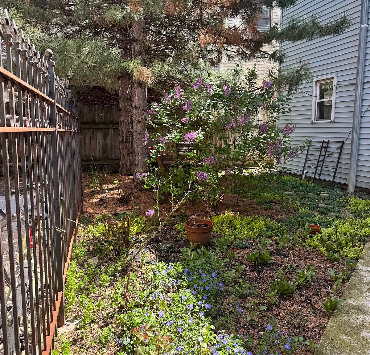 Studio, $1,900 — Photo 2