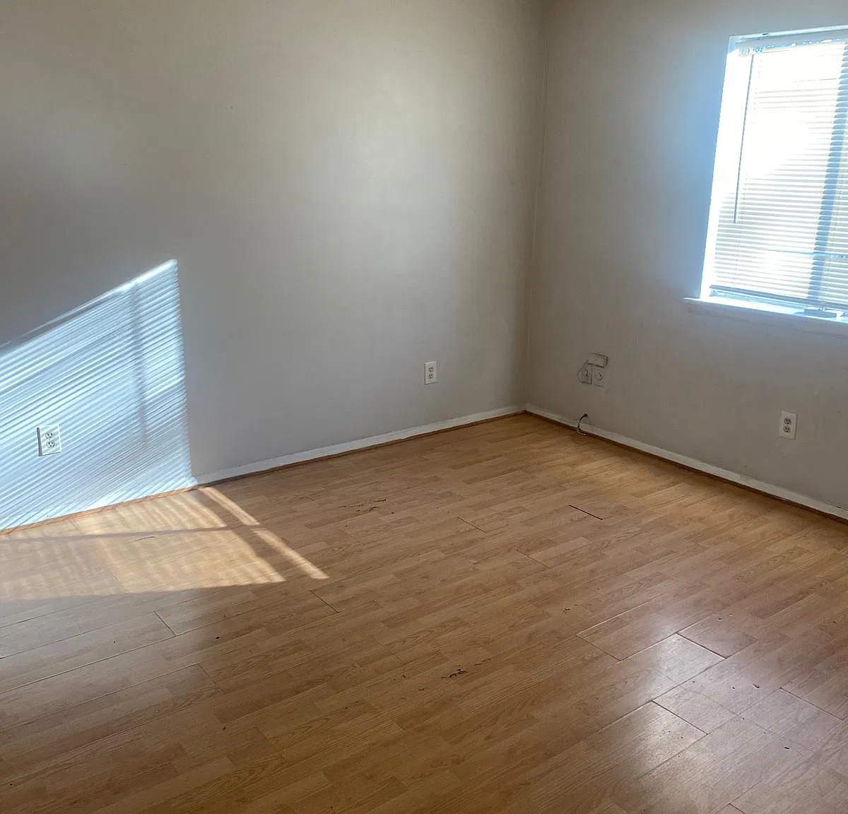 2 bed, 800 sqft, $1,500 — Photo 4