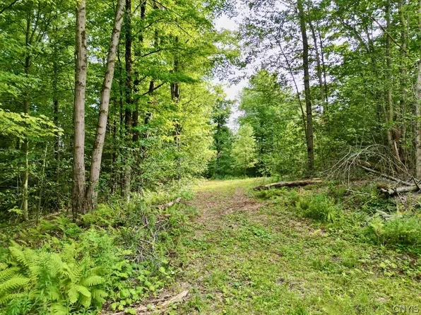 0 N Hillsborough Rd, Camden, NY 13316