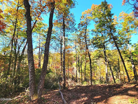 3rd image of 54 Riversong Ridge Way Lot 54
