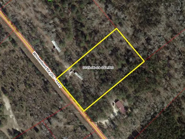 225 Whisenhunt Rd, Cope, SC 29038
