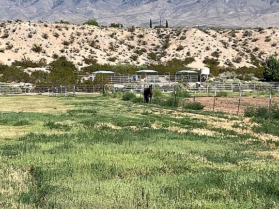 4th image of 0 Nhn Peppermill Palms Blvd