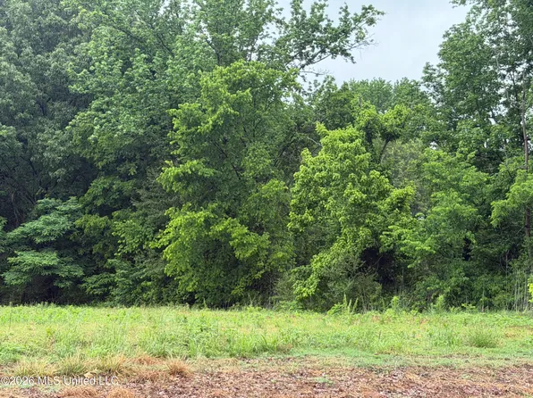 Green River Rd Lot 1, Lake Cormorant, MS 38641