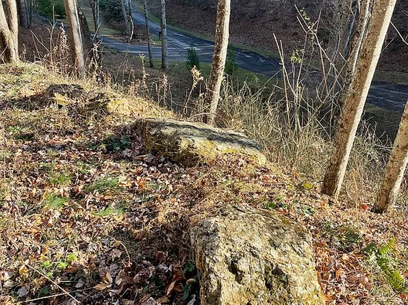 June Apple Ln, Trade, TN 37691