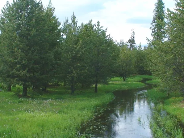 360 Discovery Loop, Marion, MT 59925