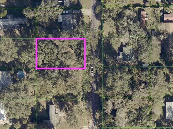 County Road 422 Lot 4, Lake Panasoffkee, FL 33538