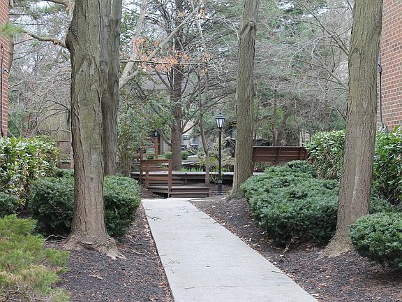 looking off back porch. Pond with sitting area.