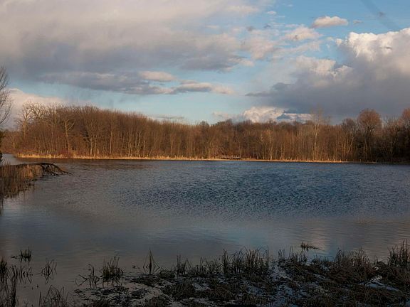 4th image of 981 Peninsula Point Rd