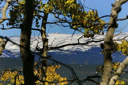 View from one of many building sites