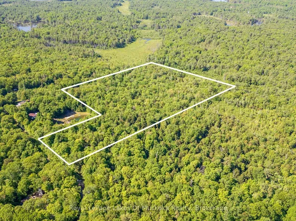 1061 S Muldrew Lake Rd, Town Of Gravenhurst, ON P0E 1G0