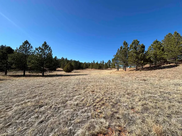TRACT 74 Turkey Trl, Custer, SD 57730