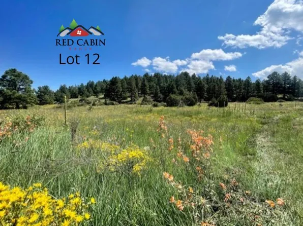12 Red Cabin Rnch, Vernon, AZ 85940