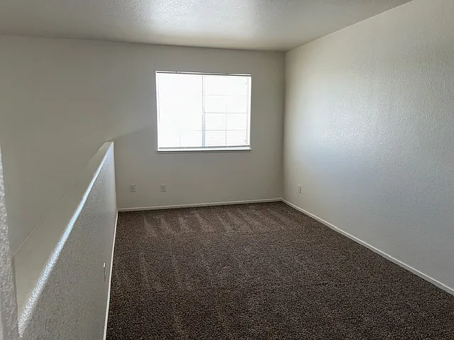 6117 Breeders Cup St — Photo 12