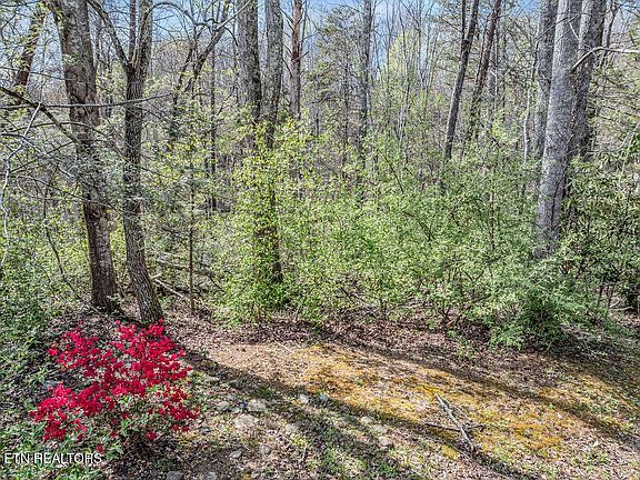 5th image of 0 Bradley Rd Lot 19